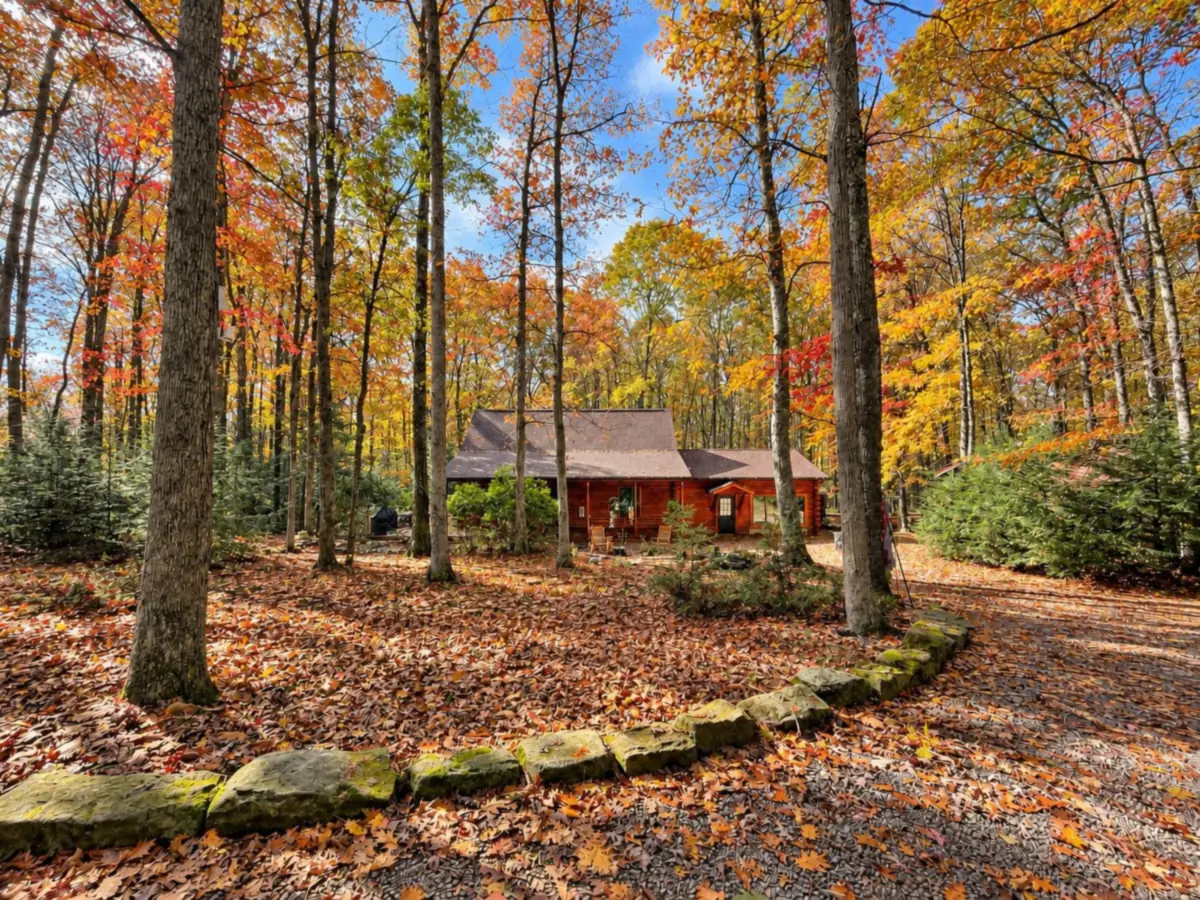 The log cabin among tall trees in autumn color, with a leaf-covered yard